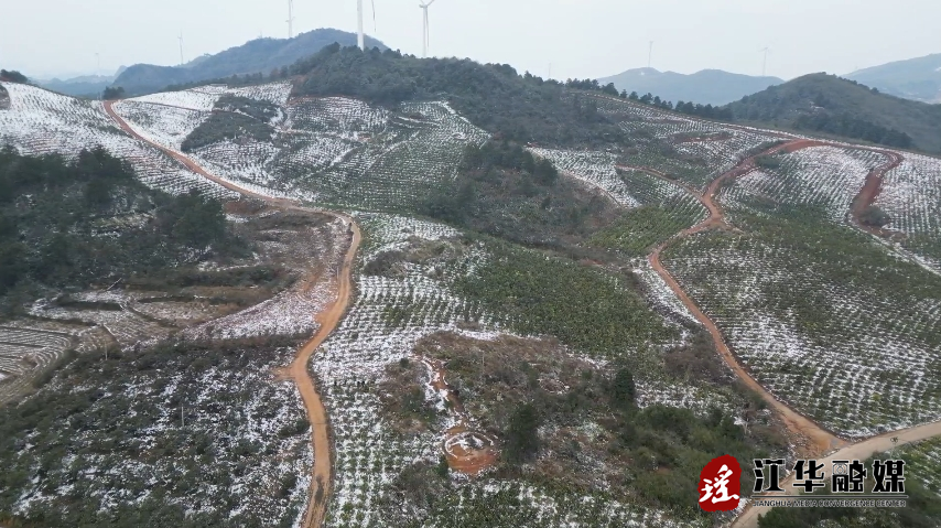 微信截图_20240124101816.png