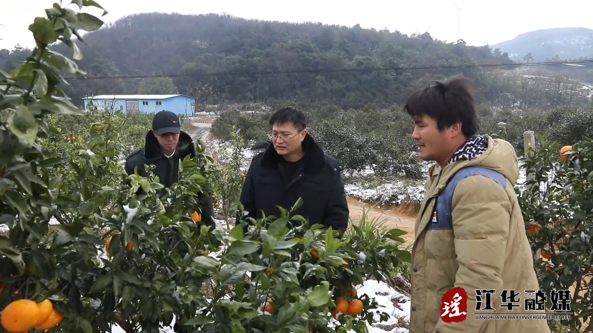 微信截图_20240124101841.png